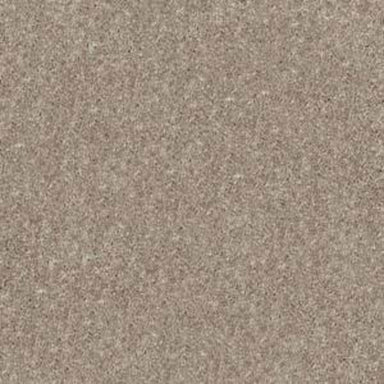 APPLEBROOK in Taupe Mist Carpet