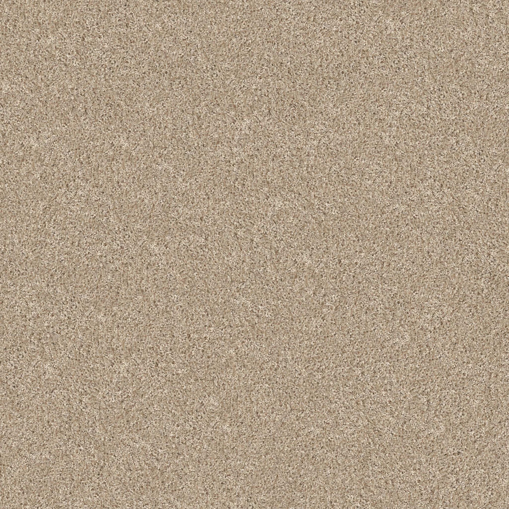 BELLBROOK in Dandelion Carpet