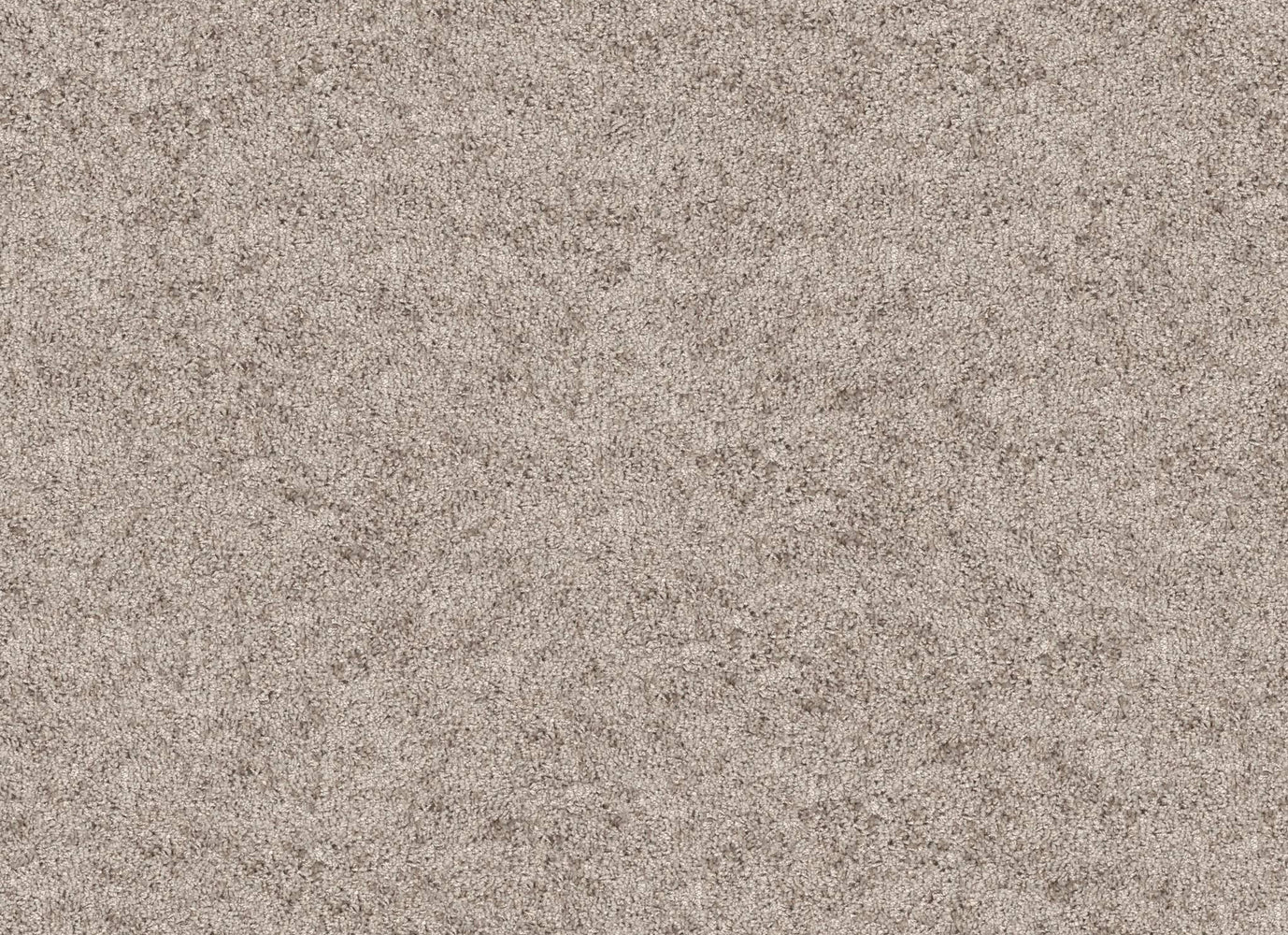 MILTON HOUSE in Oyster Carpet
