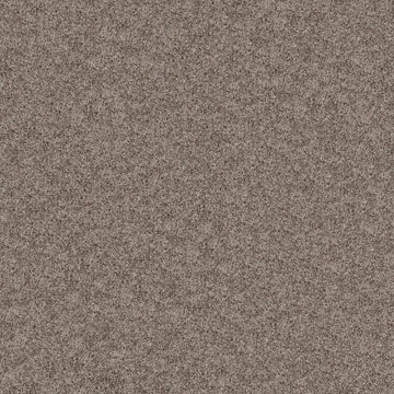 Tempting Taupe