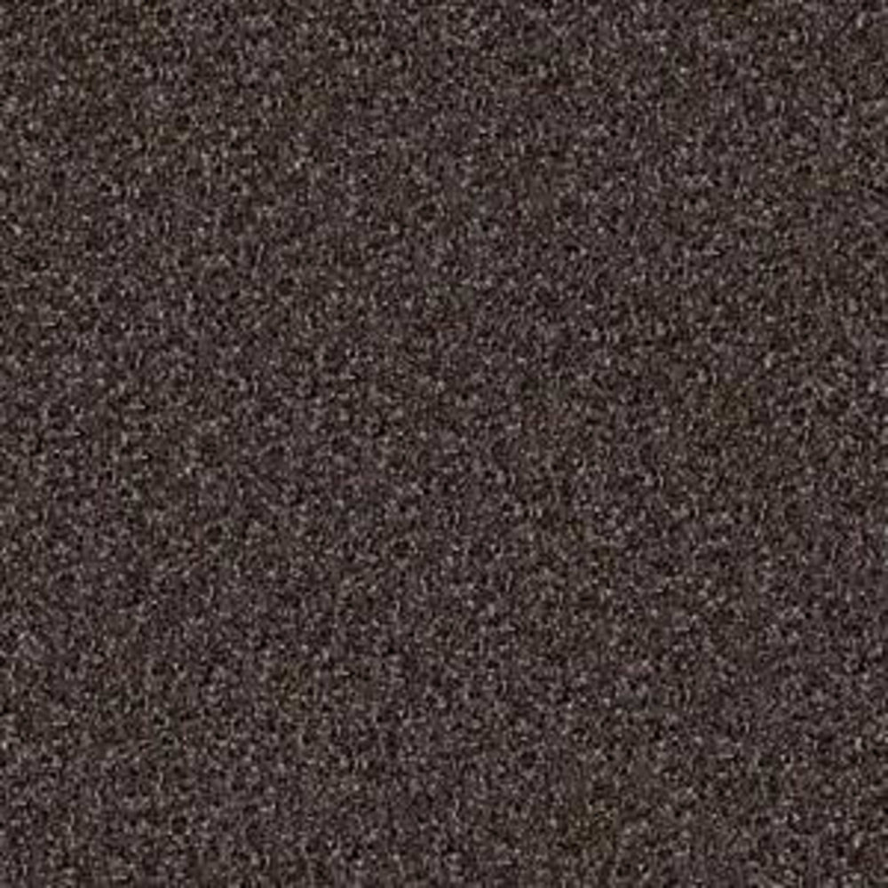 BELLE VISTA in Gauntlet Carpet