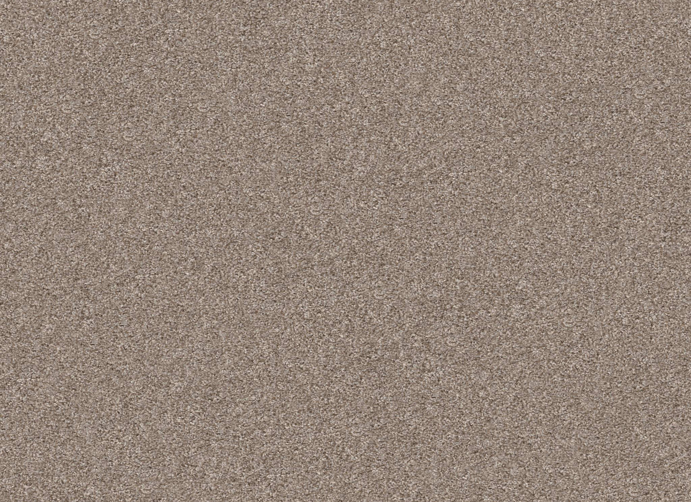 ELDER MOUNTAIN in Biscotti Carpet