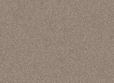 ELDER MOUNTAIN in Biscotti Carpet