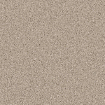 Sea Floor