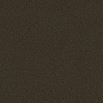 Truffle