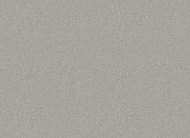 FOUNDRY ALLEY in Silver Carpet