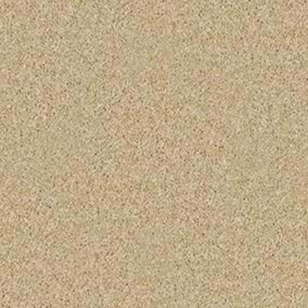 BAY VIEW in Crumpet Carpet