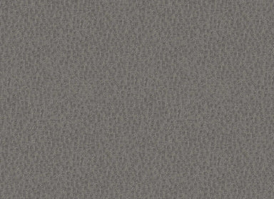 FOSTER WAY in Iron Carpet