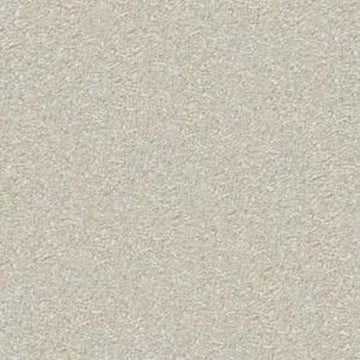 Plaster