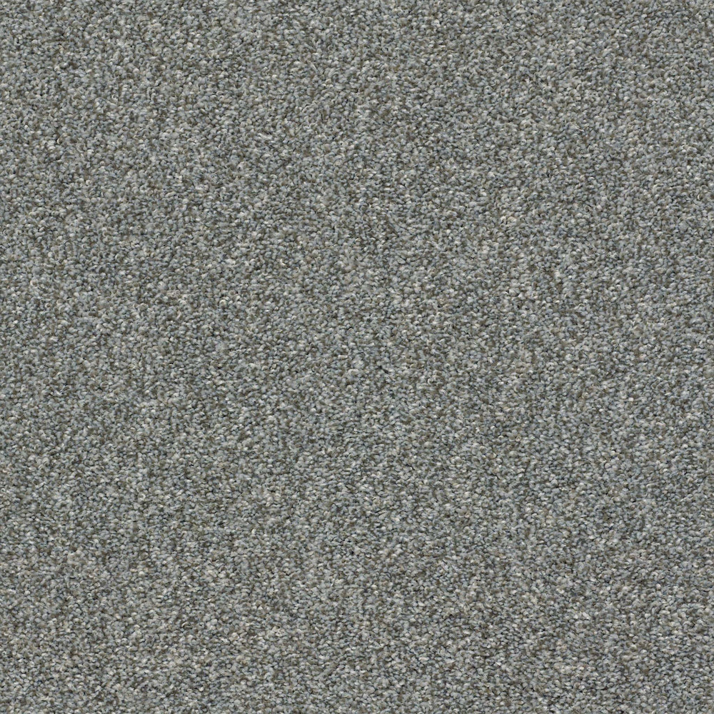 BEAVER RUIN in Shadow Carpet