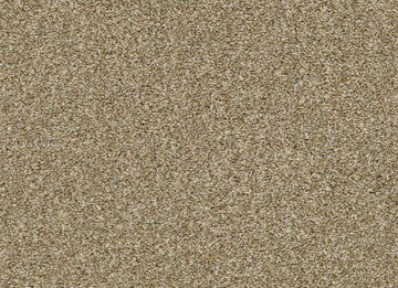 Dried Clay