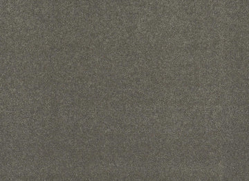 Steel