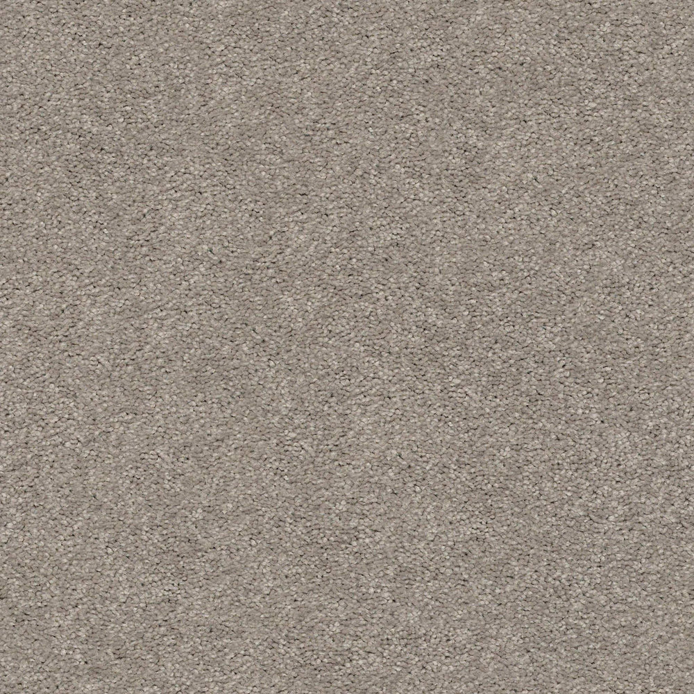 BEVO in Perfect Taupe Carpet