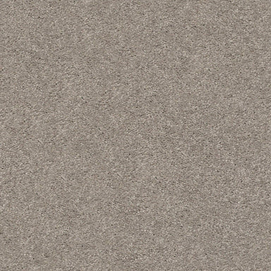 BEVO in Perfect Taupe Carpet