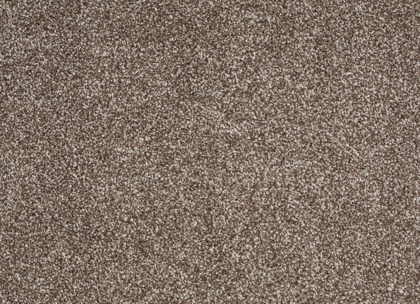 BRAMWELL COURT in Cobble Brown Carpet