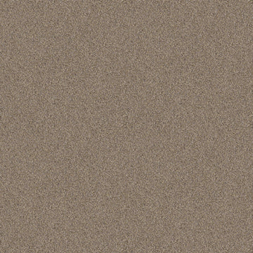 Raw Wood