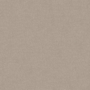 Studio Taupe