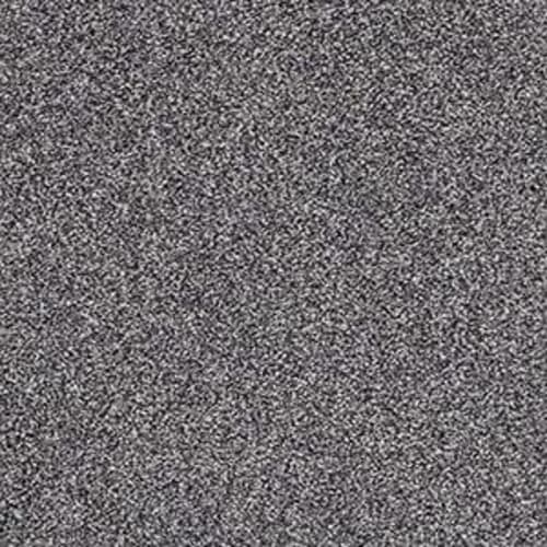 COVENTRY GARDEN in Forever Denim Carpet