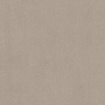 Studio Taupe