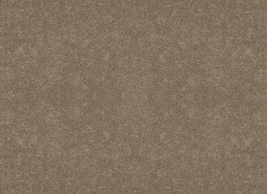 CORDELIA ST in Gold Rush Carpet