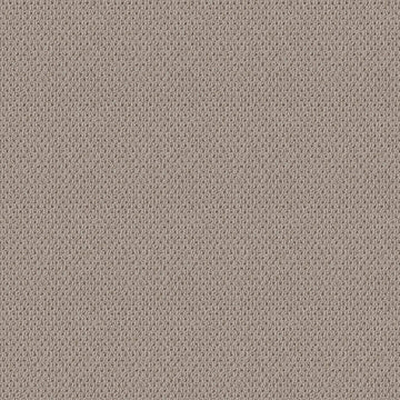 Baltic Stone