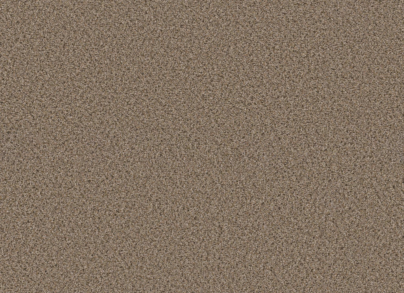 HALKIN II in Arrowhead Carpet