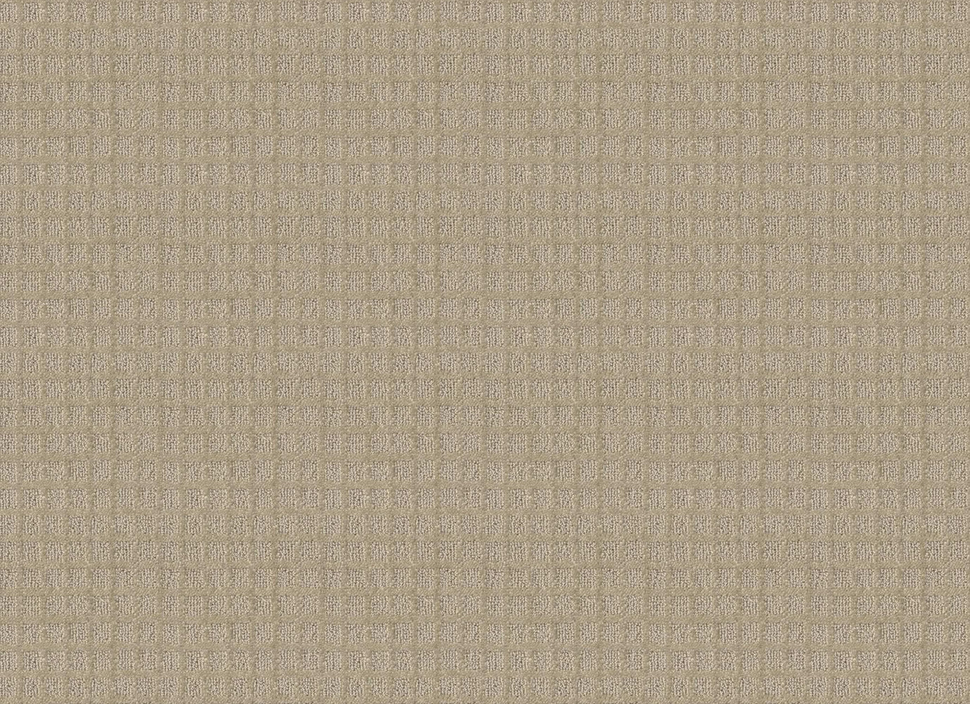 DOGWOOD CLOUD in Flax Carpet