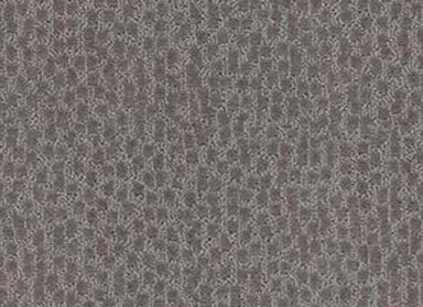 DOUGLAS FIR in Sandalwood Carpet