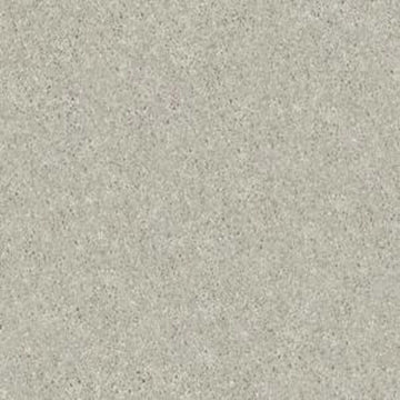 Sheer Silver