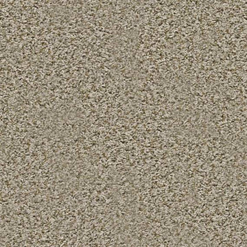 Sand Swept