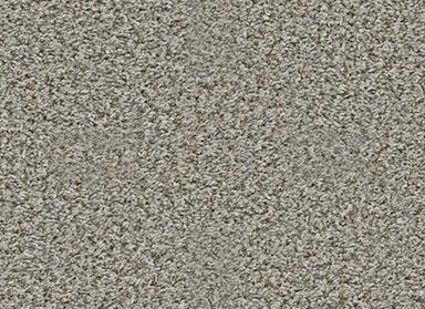 SYMPHONY VALLEY in Dolphin Show Carpet