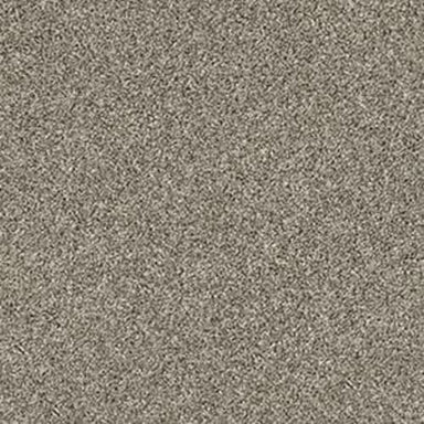 HARVEST TONAL in Barely There Carpet