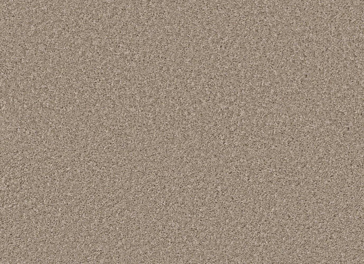 HARVEST SOLID in Breeze Carpet