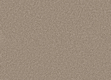 HARVEST SOLID in Breeze Carpet