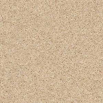 Desert Sand