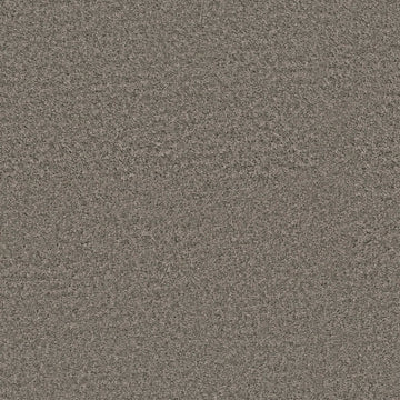 Cement