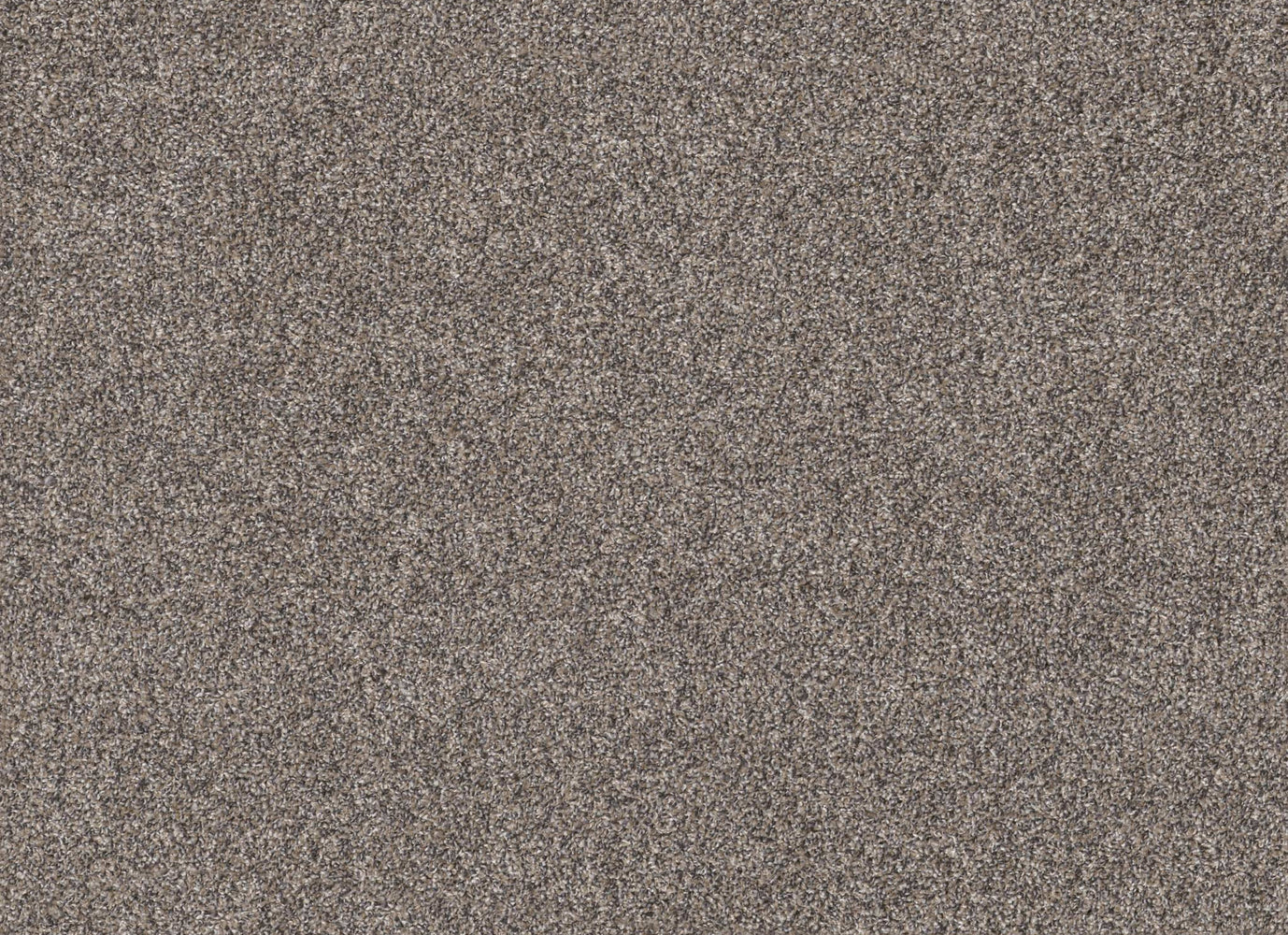 HARVEST TWEED in Burnt Ash Carpet