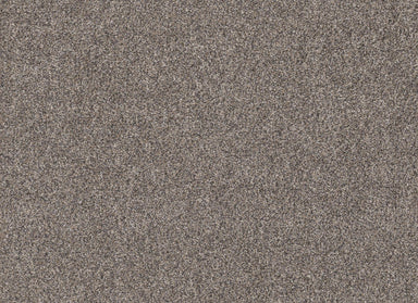 HARVEST TWEED in Burnt Ash Carpet