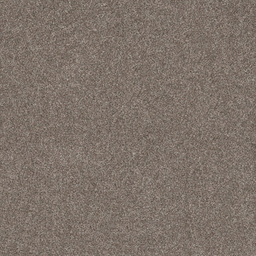 English Oak