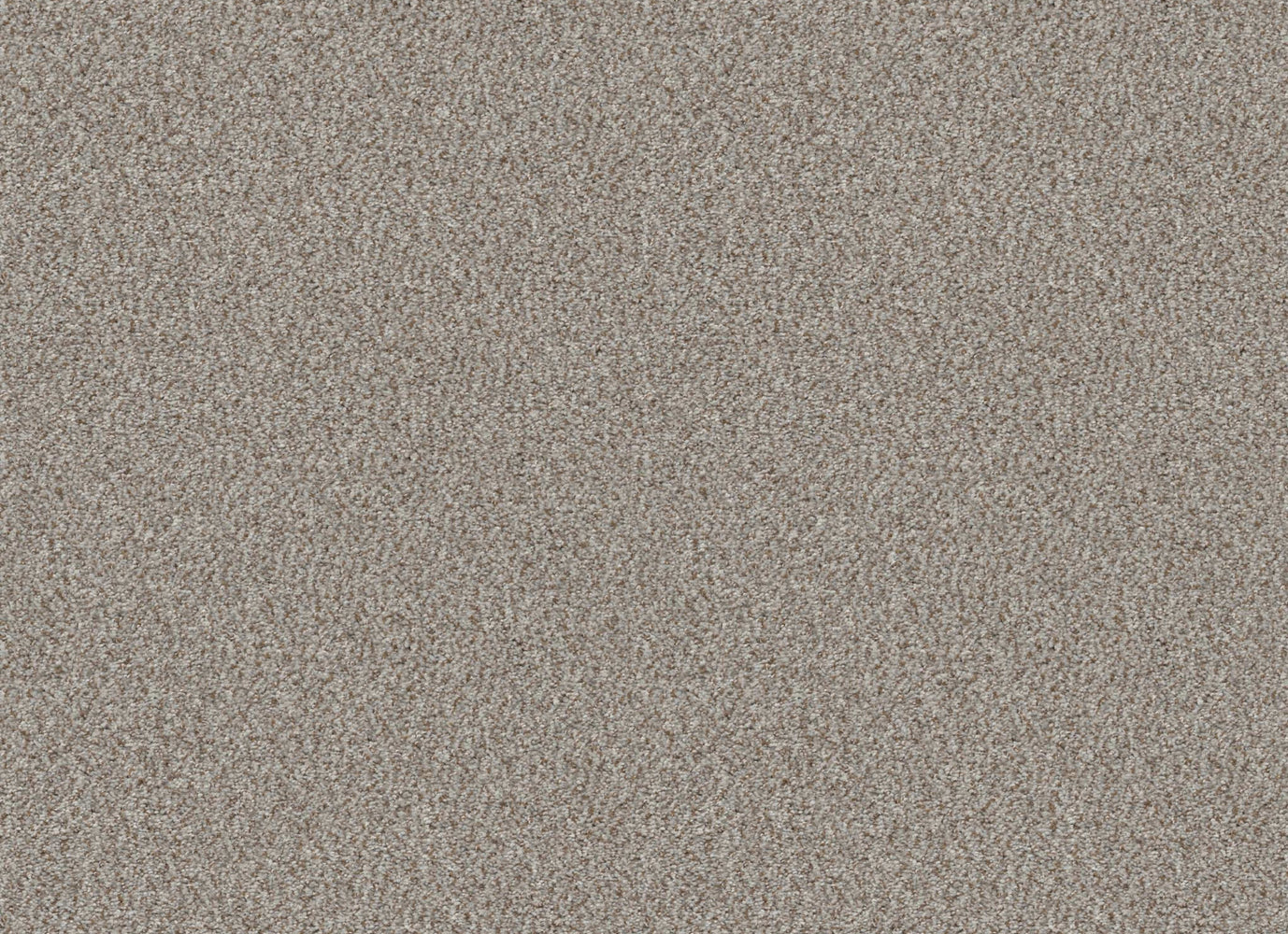HARMONY GROVE in Seashell Carpet