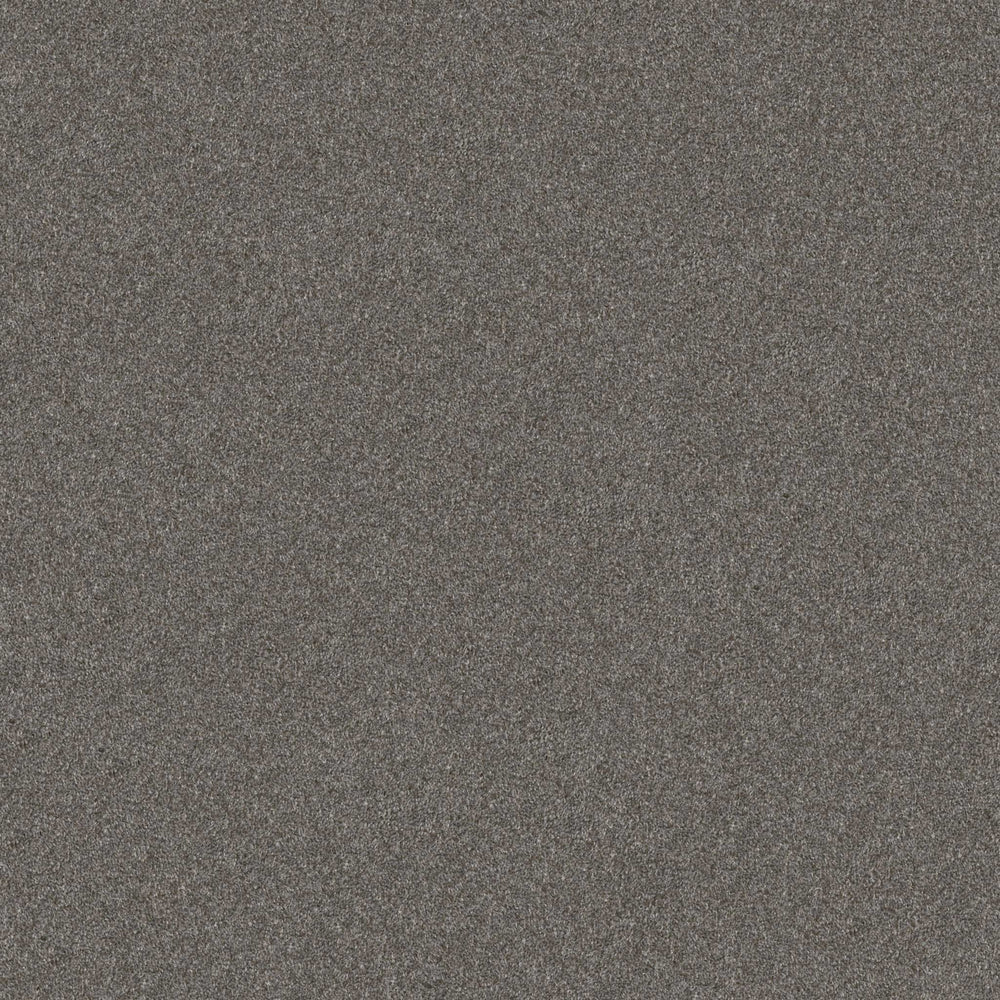 ADAMS PLACE in Sparrow Carpet