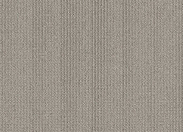 Powder Grey
