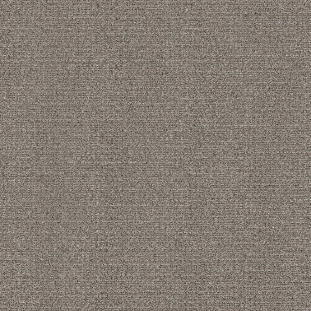 BENTON CREEK in Dark Slate Carpet