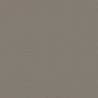 BENTON CREEK in Dark Slate Carpet