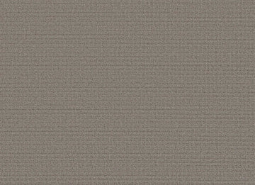 Dark Slate
