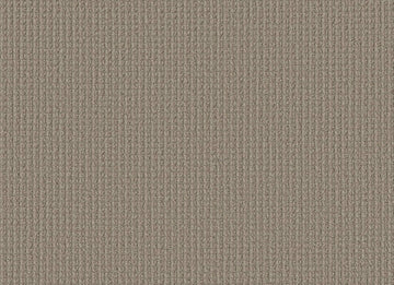 Burnished Clay