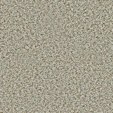 ANGLER'S EDGE in Stepping Stone Carpet