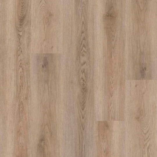 Advantage Plank in Champagne Plank