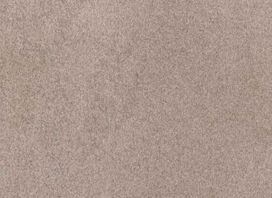 Gallery in Arcade Carpet