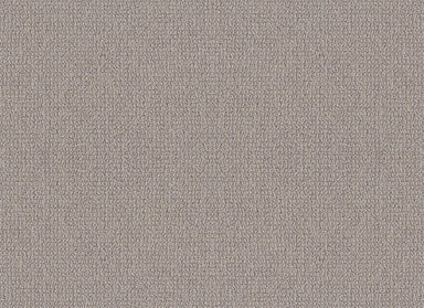 FOOTHILL GROVE in Ashen Carpet